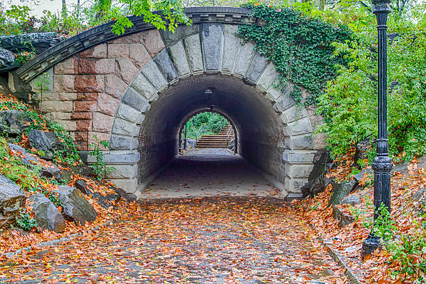 istock Inscope tunnel in Central Park 622793256