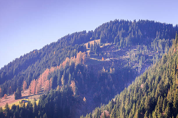 istock Landscape autumn scene Swiss Alps 622793382