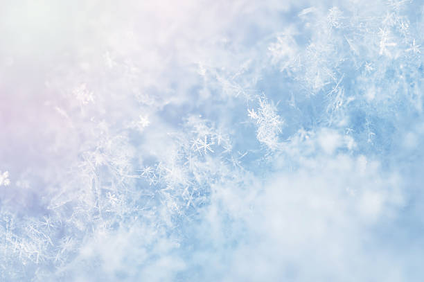 マクロ画像の雪の結晶を持っています。 - macro image ストックフォトと画像