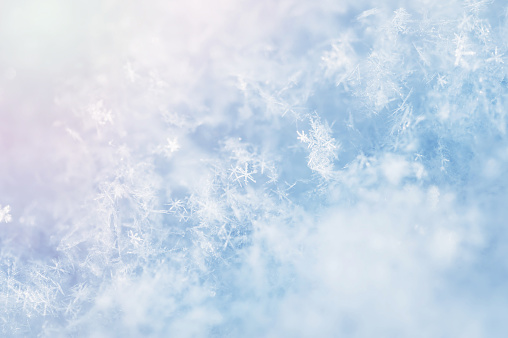 Macro image of snowflakes. Winter background.