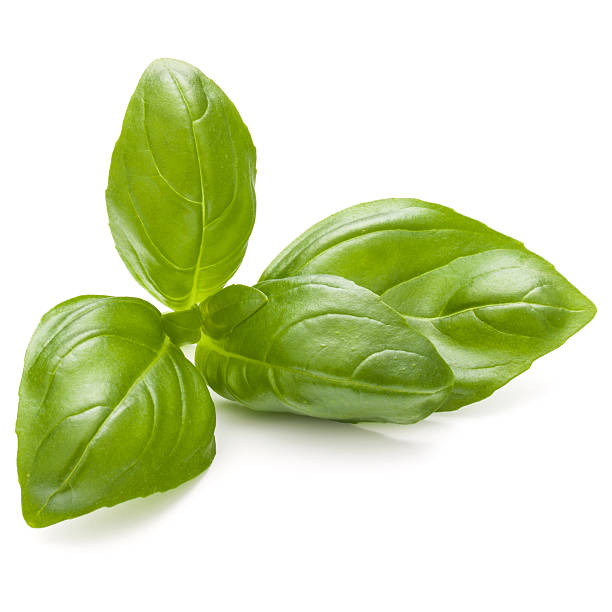 istock Sweet basil herb leaves isolated on white background closeup 622796110