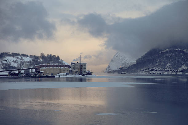 istock Factory on winter fjord 622796474