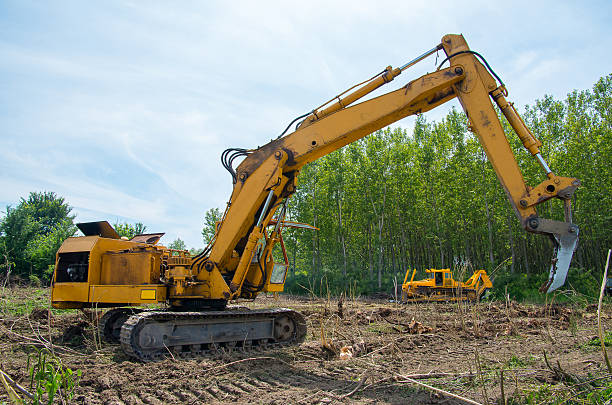 Mechanical Site Preparation for Forestry. Mechanical Site Preparation for Forestry. Excavator and bulldozer clearing forest land. only land stock pictures, royalty-free photos & images