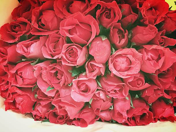 Beautiful red roses bouquet with light effect , vintage style