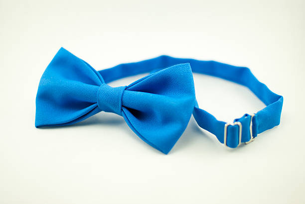 istock Stylish blue bow-tie made of soft cloth 622810070