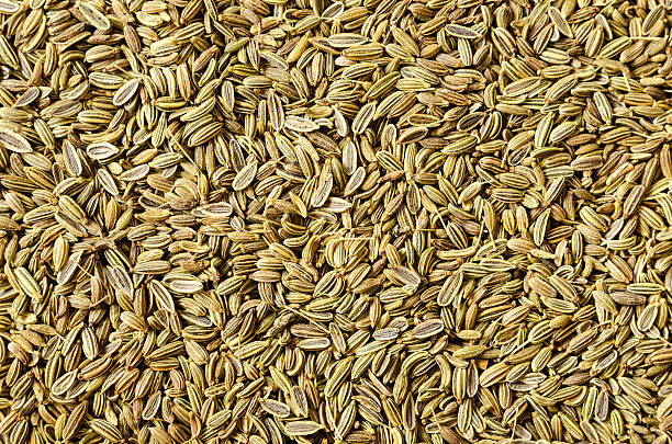 istock Dried fennel seeds as an abstract background 622810618