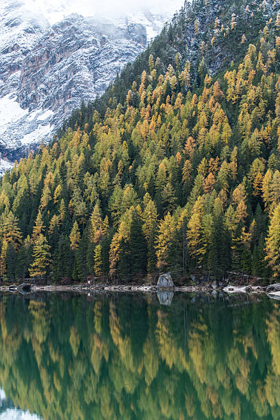 transmisja jesień-zima w lago di braies, włochy - wanderurlaub zdjęcia i obrazy z banku zdjęć