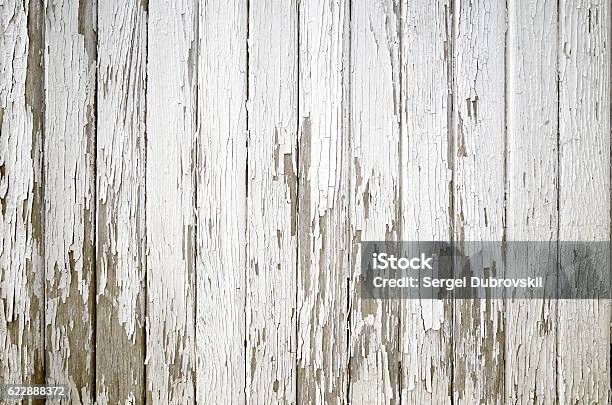 Section Of Old Wood With Peeling White Paint Stock Photo - Download Image  Now - Barn, White Color, Wood - Material - iStock