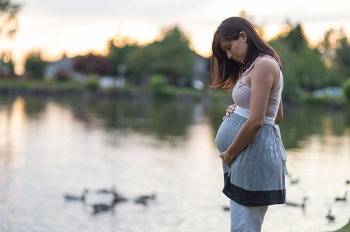 Beautiful young pregnant woman holding her belly in the park next to a pond