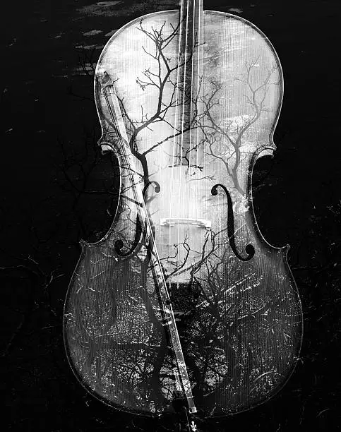 Cello with an artistic overlay of black and white branches.