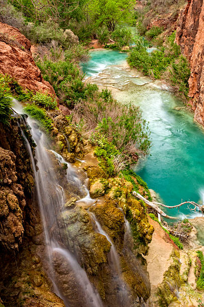 Havasu Creek Grand Canyon Havasu Creek Grand Canyon - Scenic red rock canyon and aquamarine water with travertine pools. Waterfall and beautiful nature. harasu canyon stock pictures, royalty-free photos & images