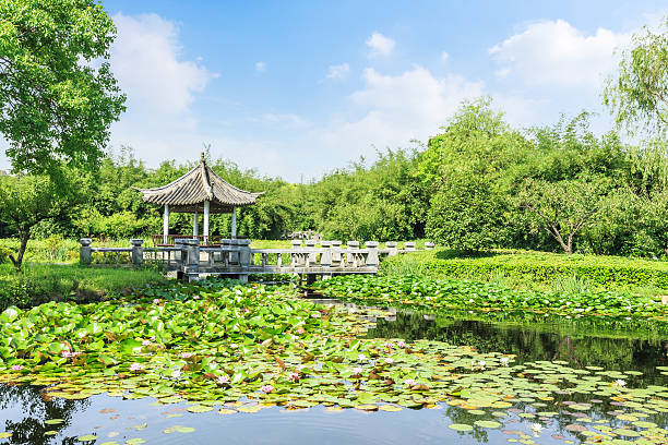 istock Green park in the summer 622896136