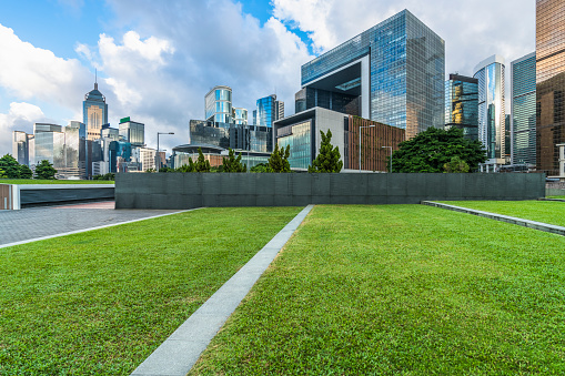 green lawn with modern architecture on background at daytime.