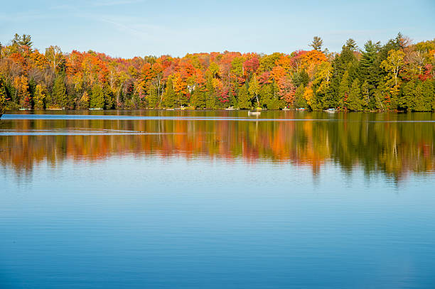 istock Autumn colors in Quebec, Canada 622905920