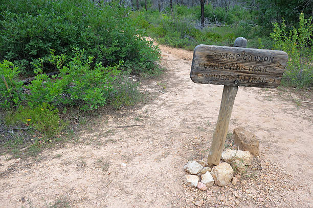 istock Swamp Canyon Trail Sign 622906082