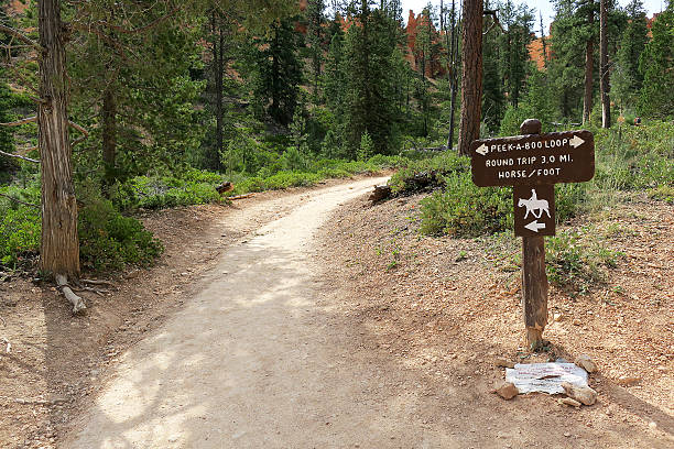 istock Peek-A-Boo Trail Sign 622906246