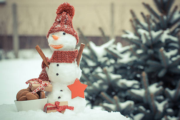 istock Snowman with gift for Christmas or Valentine and gingerbreads 622906482