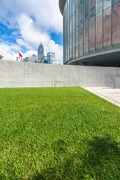 istock green lawn with modern architecture on background 622907272