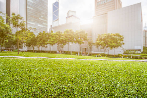 istock green lawn with modern architecture on background at daytime 622907402