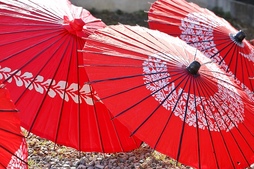 japanese traditional umbrellas