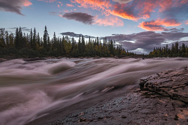 istock River surrounded by pine forest with bright orange sunset background 622914602
