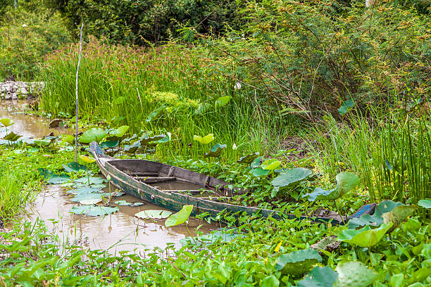 istock Cambodia and Tonle Sap river 622914822