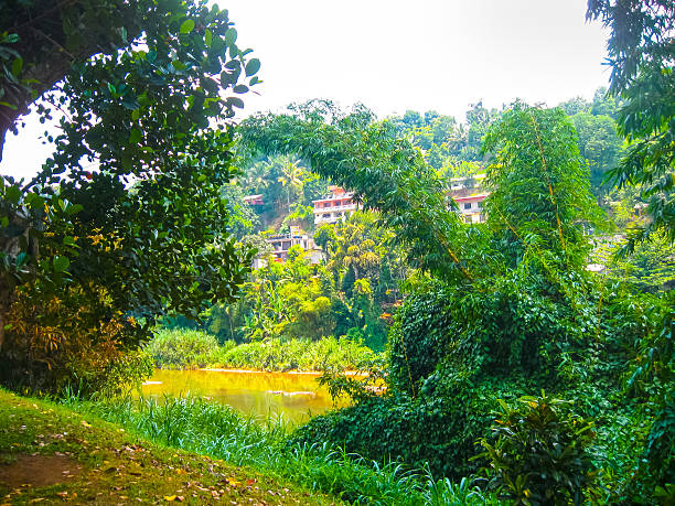 Royal Botanical garden Peradeniya at Sri Lanka