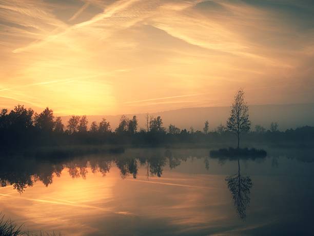 istock Autumn at mountain lake in dreamy atmosphere, tree on island 622915518