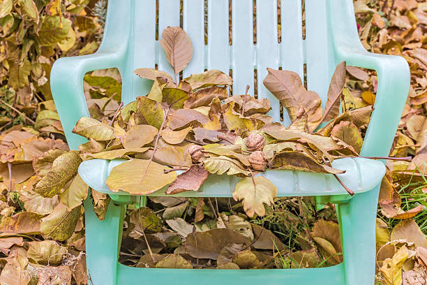 istock Fallen leaves and walnuts on the garden lounger 622920520