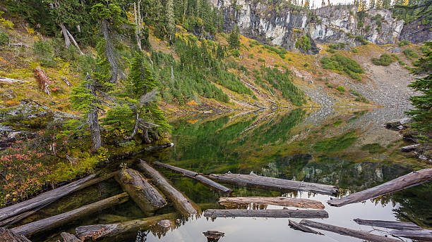 die baumstämme im see. see in den hügeln. - north cascades national park awe beauty in nature cloud stock-fotos und bilder