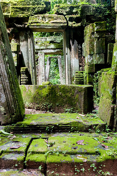 istock Old temples in the jungle, Angkor, Siem Reap, Cambodia 622923570