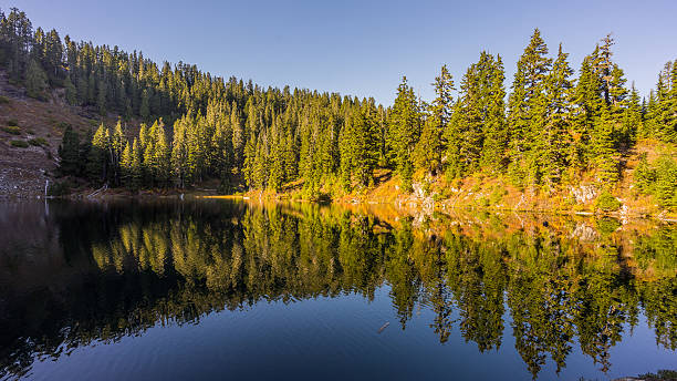 schöner waldsee. bäume in einem see reflektiert - north cascades national park awe beauty in nature cloud stock-fotos und bilder