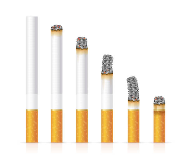 stockillustraties, clipart, cartoons en iconen met realistic cigarette set different stages of burn. vector - sigaret