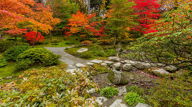 istock The path of stones. Bright trees. Gold autumn. 622925038