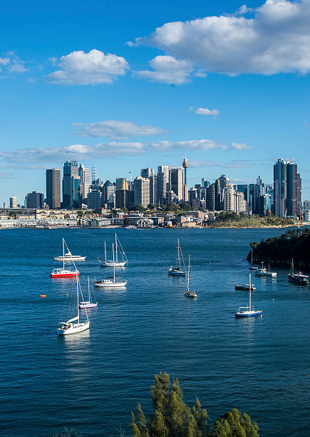 istock Sydney city look from North sydney 622925062