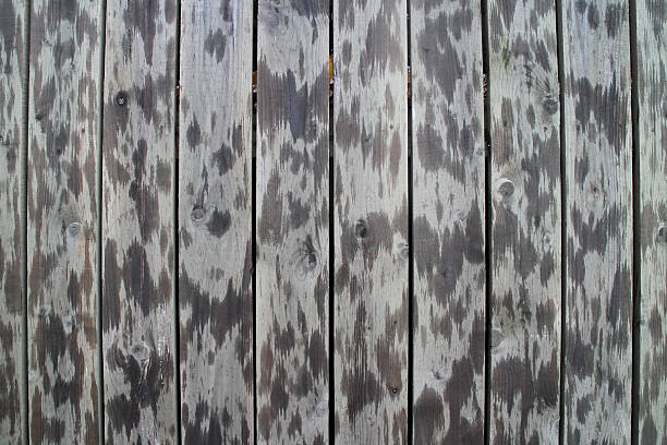 istock spotted wooden fence background 622925758