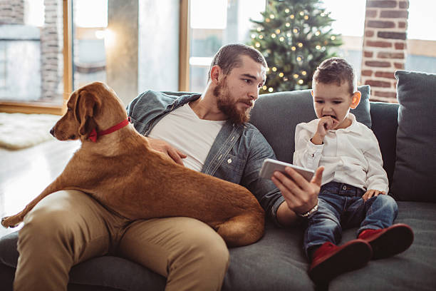 istock They have new toy now 622925832