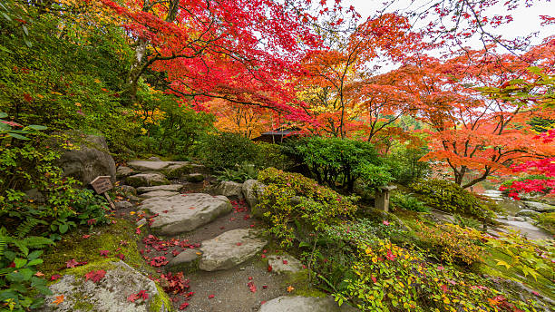 istock The path of stones. Bright trees. Gold autumn. 622925838