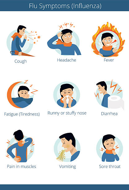 illustrations, cliparts, dessins animés et icônes de infographie plate - la plupart des symptômes communs de la grippe. - commons