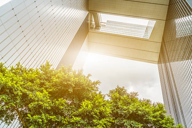 istock portion of trees against office buildings 622955880