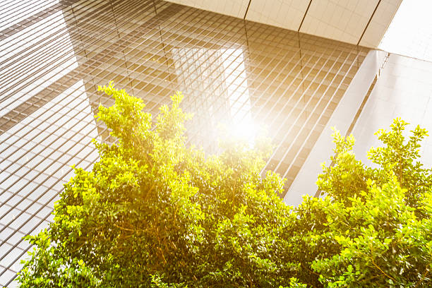 istock portion of trees against office buildings 622956524