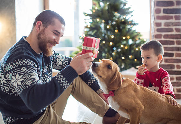 istock Do you thhink he love it? 622956532