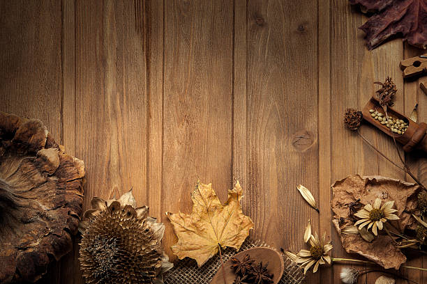 istock autumn background with  spices 622956612