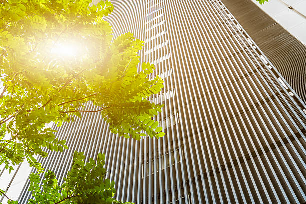 istock portion of trees against office buildings 622956960