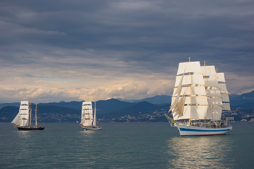 Three vintage sailing ships in the sea