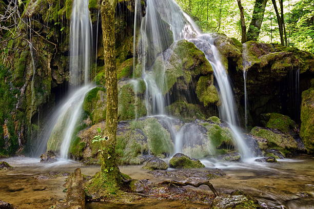 istock waterfall in the forest, Bigar, Romania 622957212