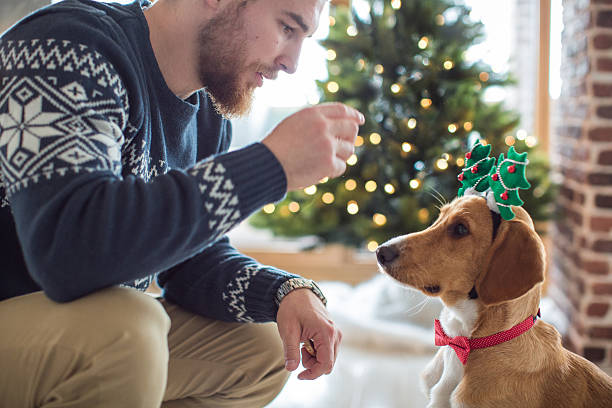 istock I was good all year 622958908