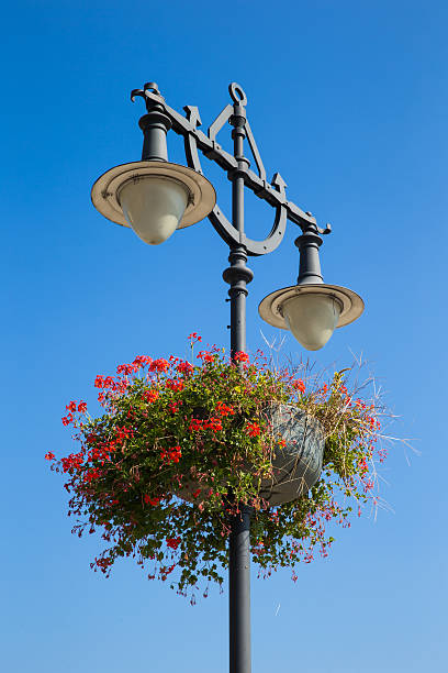 istock Street light with flowers on blue sky background 622959000