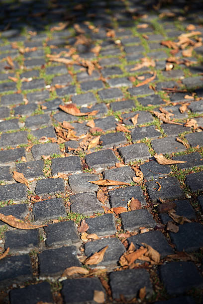 istock Yellow leaves on the stone pavement. Autumn background. 622959406