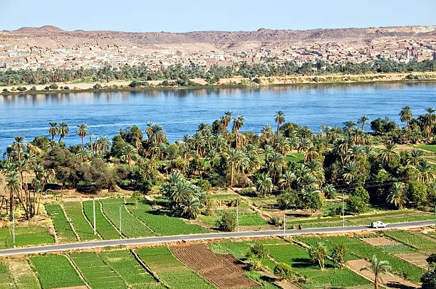 Irrigated fields along the Nile River Irrigated fields along the Nile River, Egypt nile river stock pictures, royalty-free photos & images